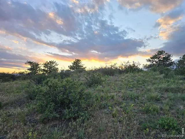 795 Sundance Drive Livermore, CO 80536