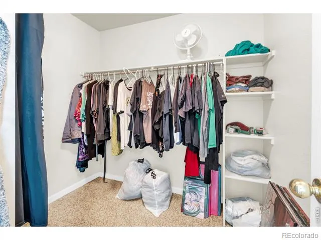 118 Linden Oaks Drive Ault, CO 80610