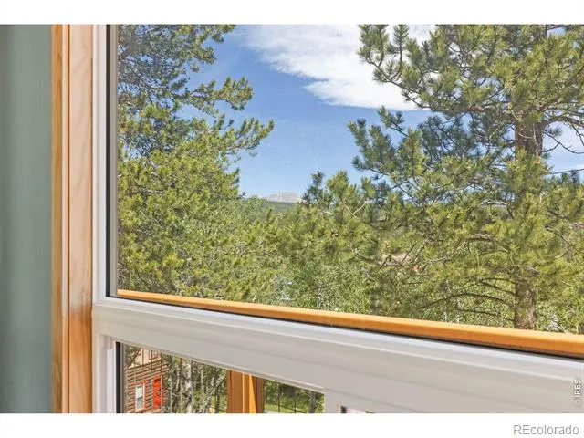 38 E Pine Street Nederland, CO 80466