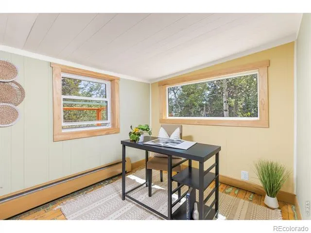 38 E Pine Street Nederland, CO 80466