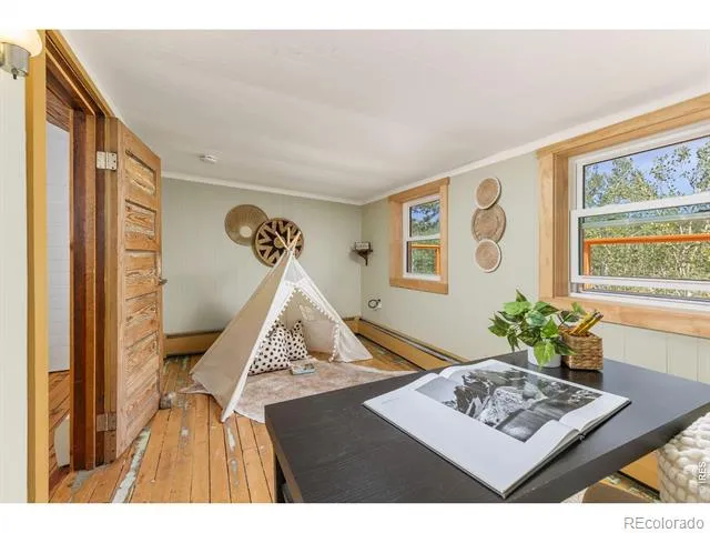 38 E Pine Street Nederland, CO 80466