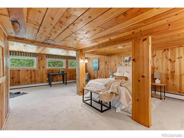 38 E Pine Street Nederland, CO 80466