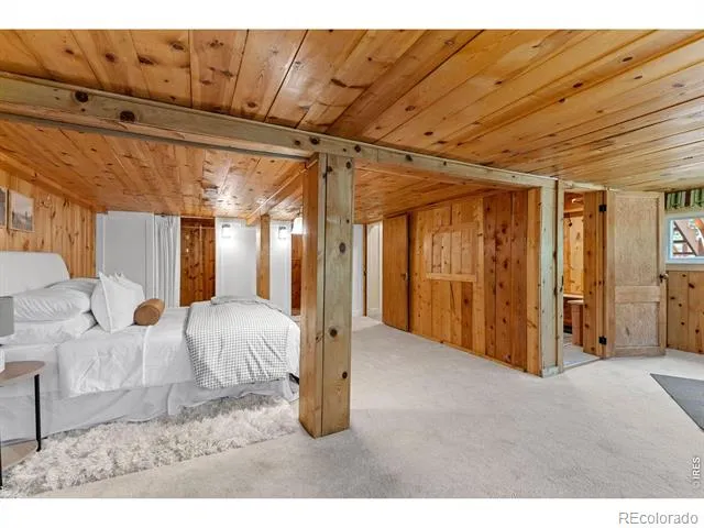 38 E Pine Street Nederland, CO 80466