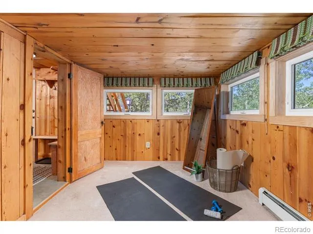 38 E Pine Street Nederland, CO 80466