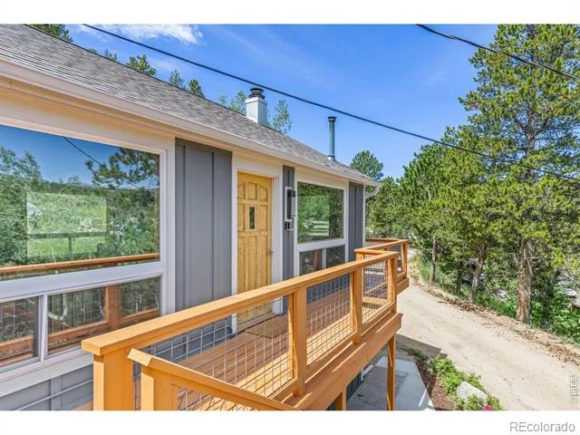 38 E Pine Street Nederland, CO 80466