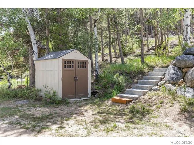 38 E Pine Street Nederland, CO 80466