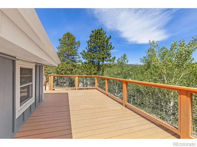 38 E Pine Street Nederland, CO 80466