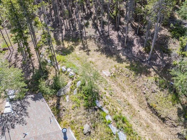38 E Pine Street Nederland, CO 80466