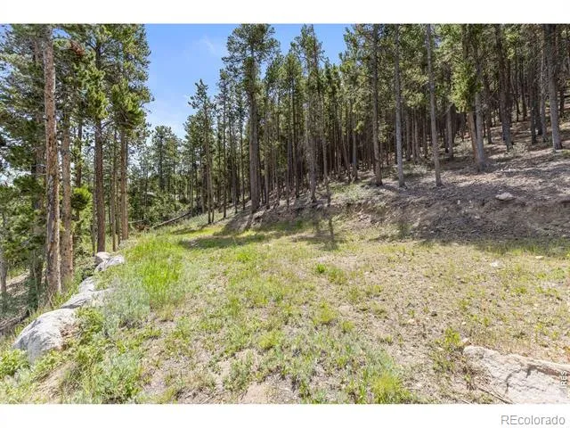 38 E Pine Street Nederland, CO 80466