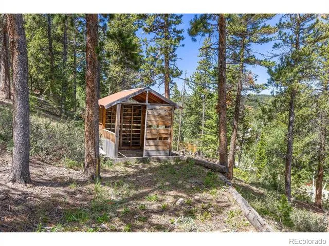 38 E Pine Street Nederland, CO 80466