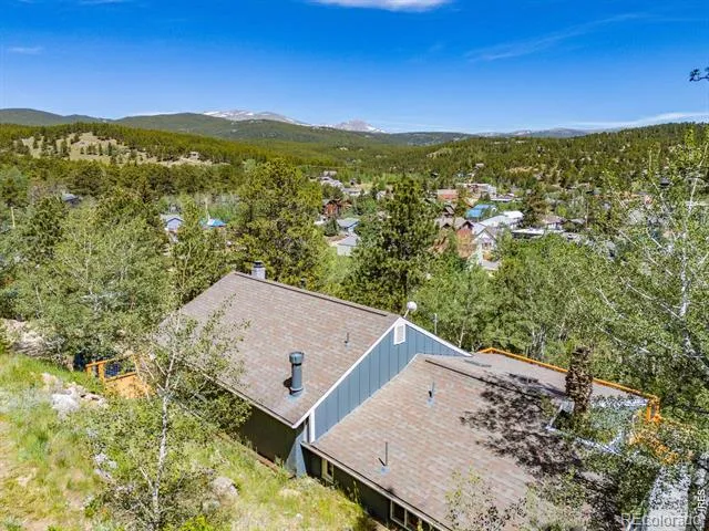 38 E Pine Street Nederland, CO 80466