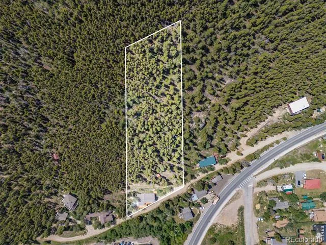 38 E Pine Street Nederland, CO 80466