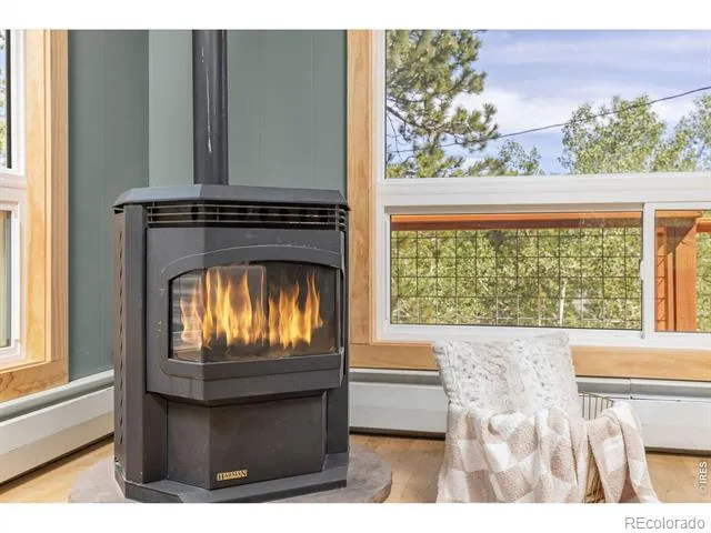 38 E Pine Street Nederland, CO 80466