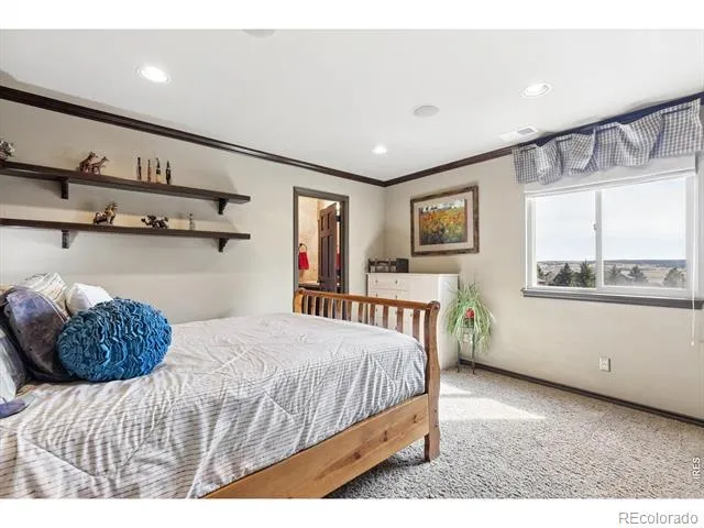 5165 Rialto Drive Parker, CO 80134