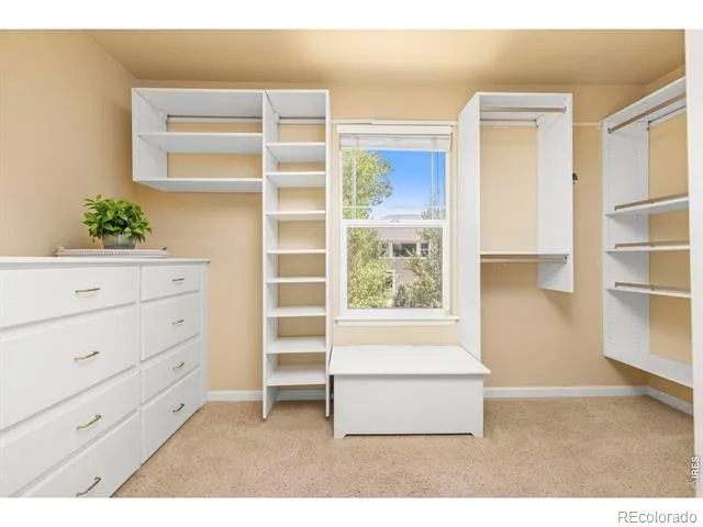 213 Bittern Drive Johnstown, CO 80534