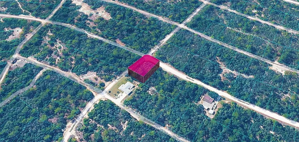 344 CARTIER AVENUE Lake Placid, FL 33852
