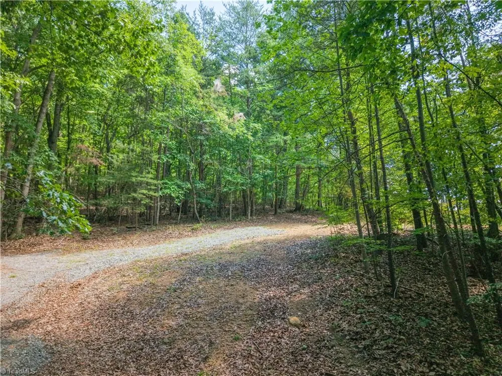 185 Boaz Lane Mount Airy, NC 27030