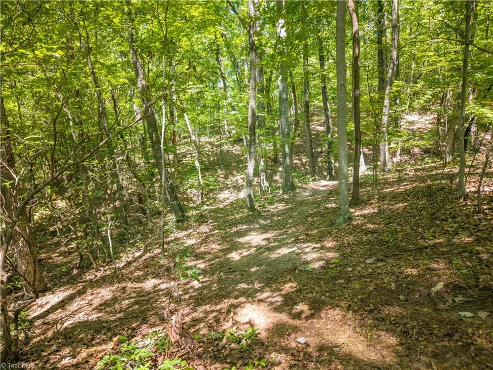 185 Boaz Lane Mount Airy, NC 27030