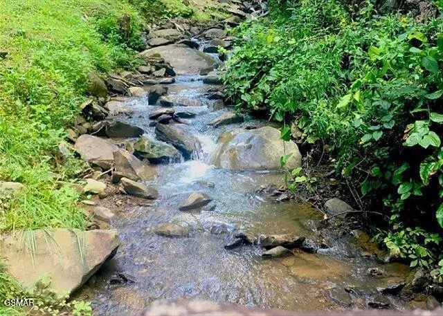 1228 Ski Mountain Road #C1 Gatlinburg, TN 37738