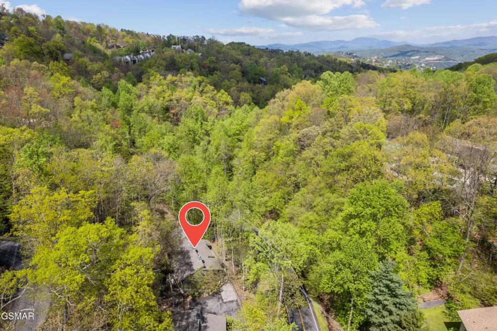 1228 Ski Mountain Road #C1 Gatlinburg, TN 37738