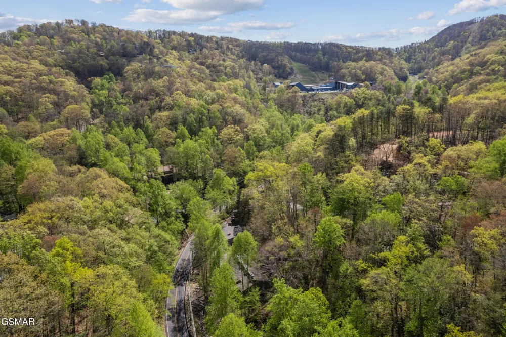 1228 Ski Mountain Road #C1 Gatlinburg, TN 37738