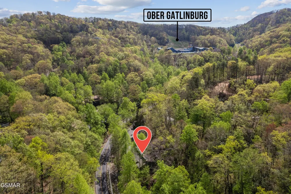 1228 Ski Mountain Road #C1 Gatlinburg, TN 37738