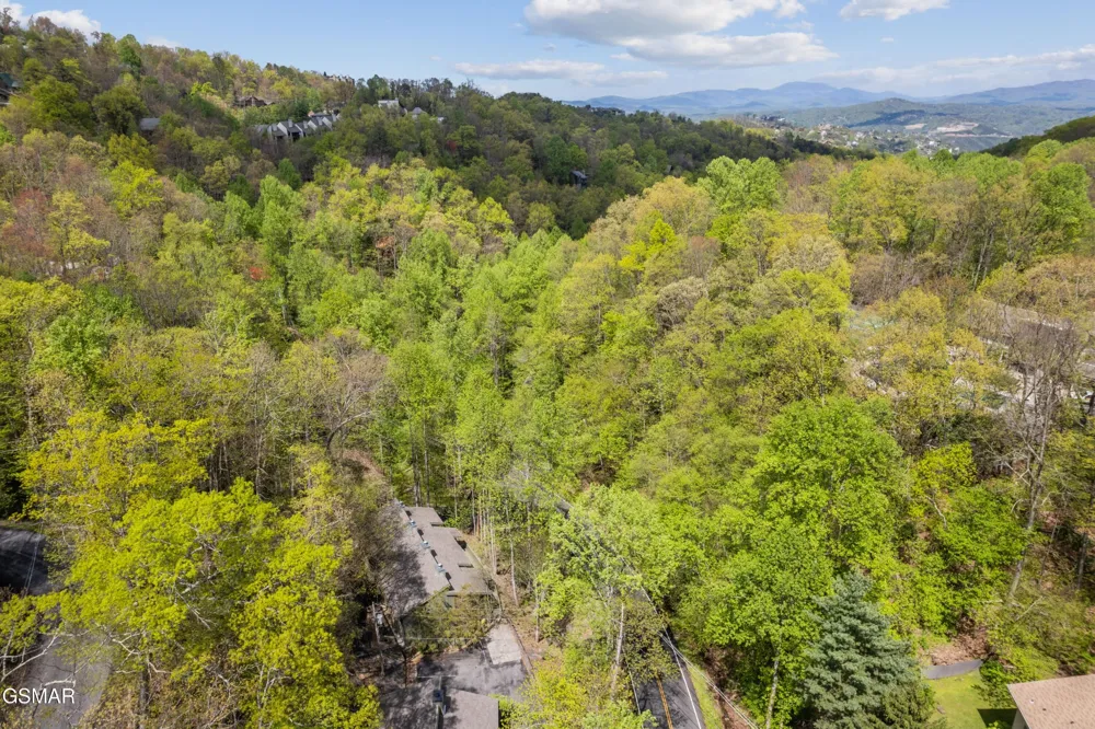 1228 Ski Mountain Road #C1 Gatlinburg, TN 37738