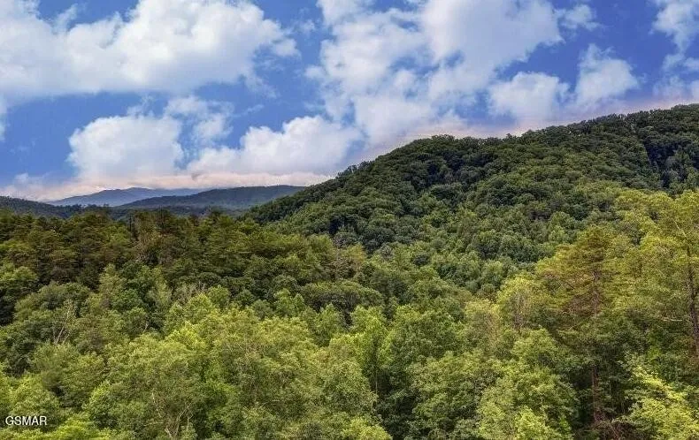 1163 Pine Mountain Road Sevierville, TN 37862