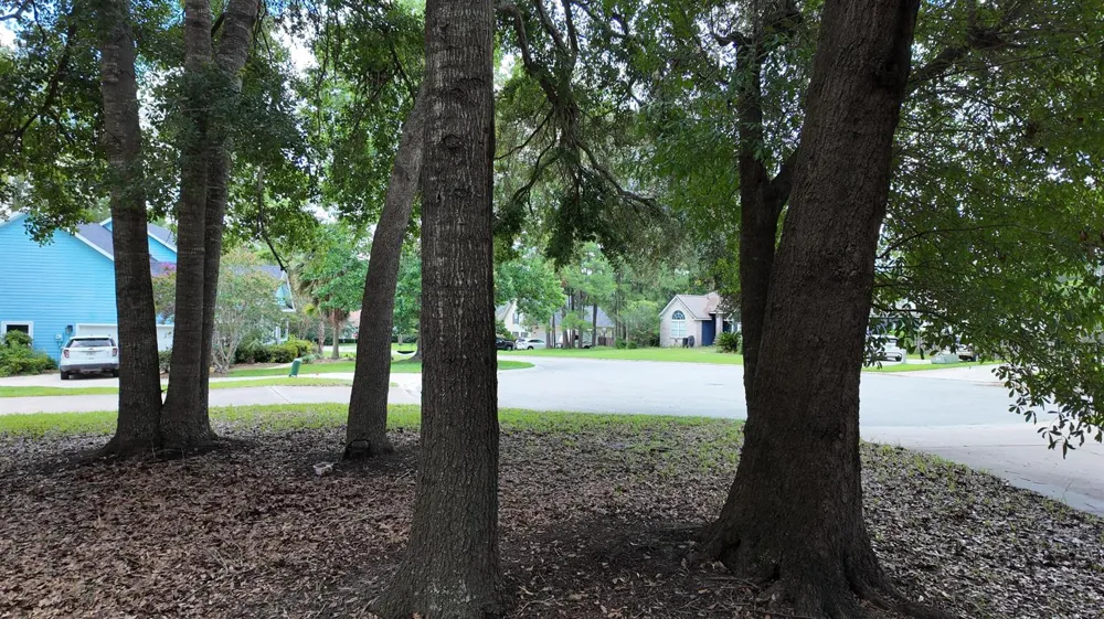 11444 NW 18th Lane Gainesville, FL 32606