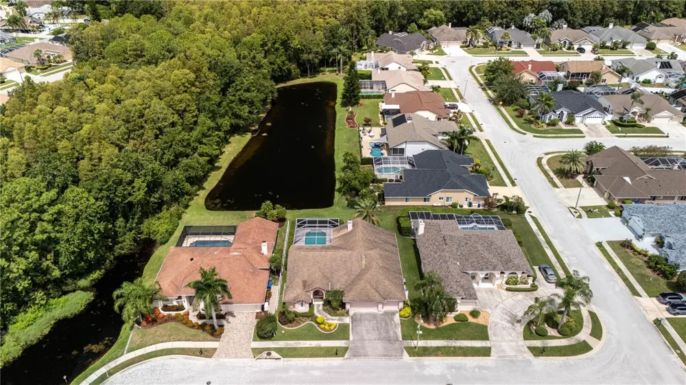 7709 TIMBERWYCK COURT New Port Richey, FL 34655