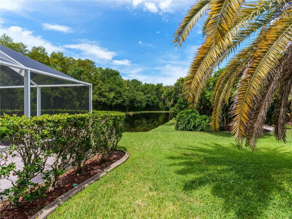 7709 TIMBERWYCK COURT New Port Richey, FL 34655