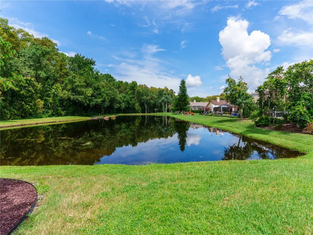 7709 TIMBERWYCK COURT New Port Richey, FL 34655