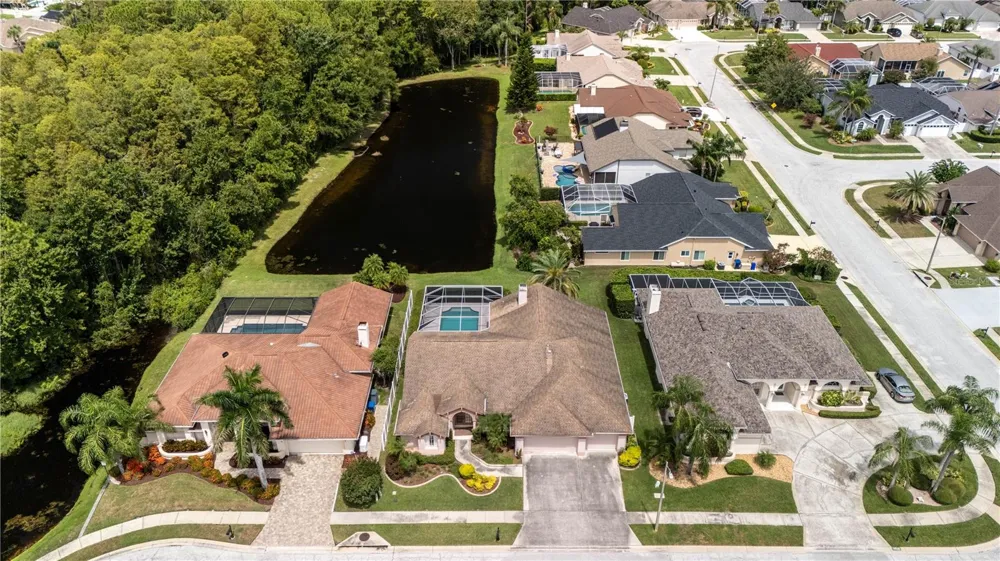 7709 TIMBERWYCK COURT New Port Richey, FL 34655
