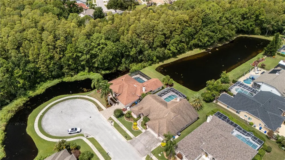 7709 TIMBERWYCK COURT New Port Richey, FL 34655