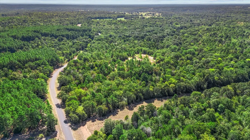 Fcr 255 Fairfield, TX 75840
