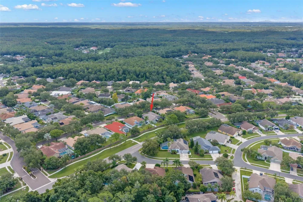 1730 CAPTIVA DRIVE Oldsmar, FL 34677