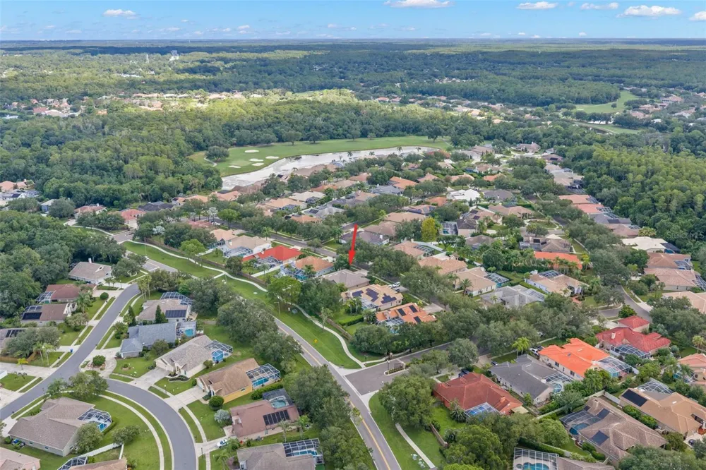 1730 CAPTIVA DRIVE Oldsmar, FL 34677