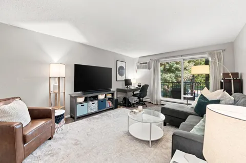 3155 Coachman Road #381