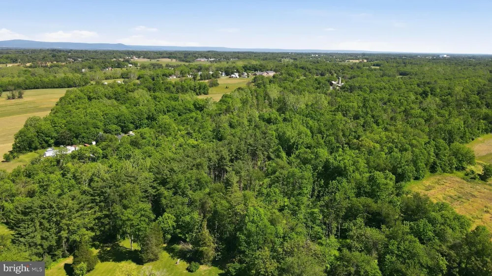 8805 REICHARD ROAD Fairplay, MD 21733