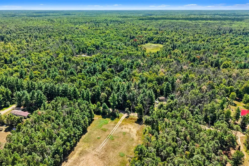 1 Mile Road Morley, MI 49336