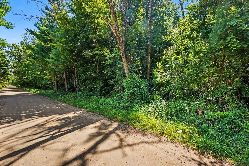 1 Mile Road Morley, MI 49336