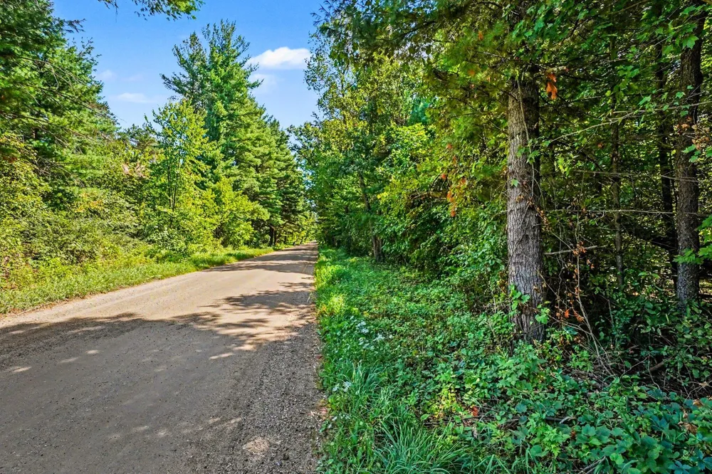 1 Mile Road Morley, MI 49336