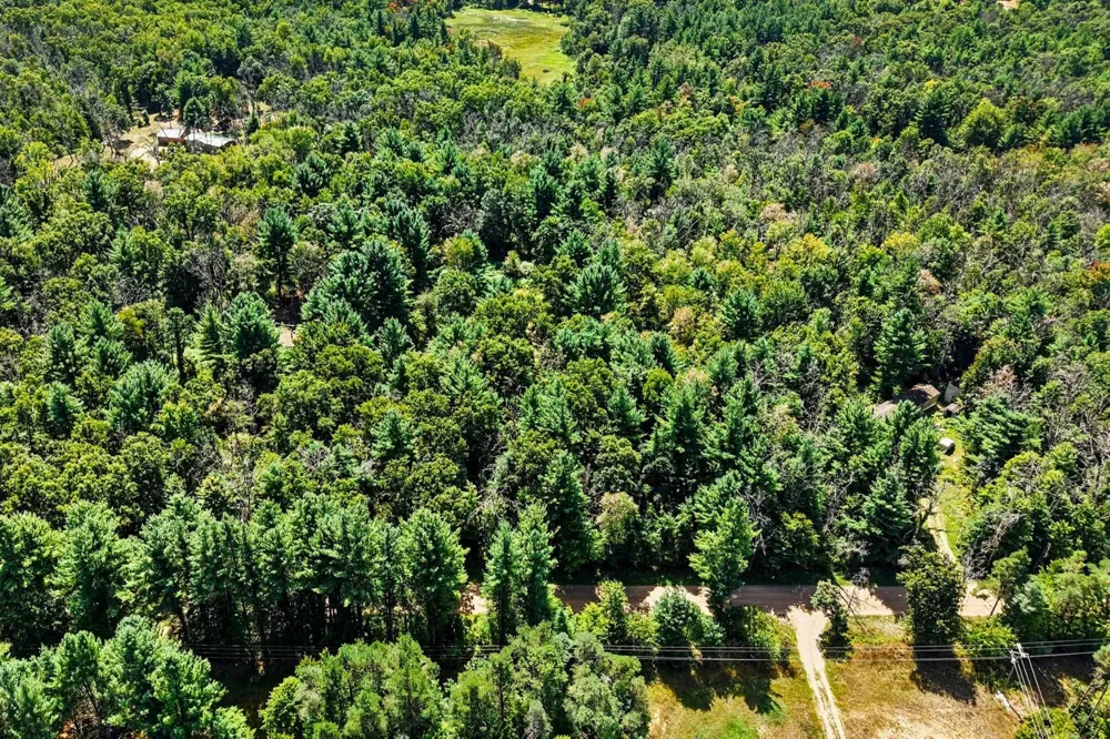 1 Mile Road Morley, MI 49336