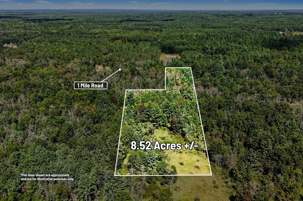 1 Mile Road Morley, MI 49336