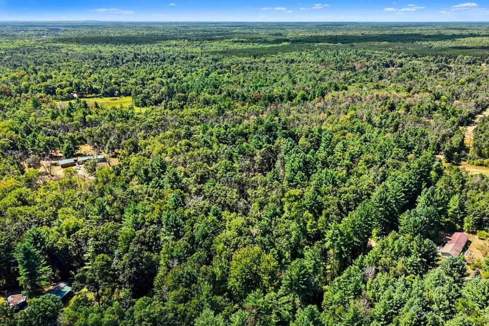1 Mile Road Morley, MI 49336