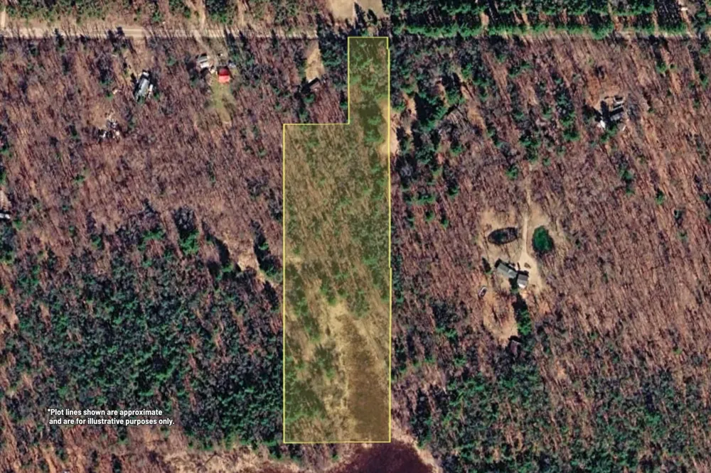 1 Mile Road Morley, MI 49336