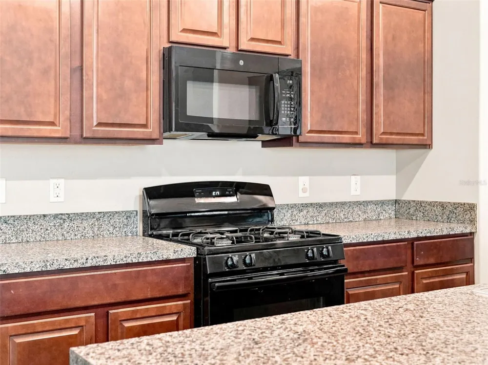 21213 PASSIVE PORCH DRIVE Land O Lakes, FL 34637