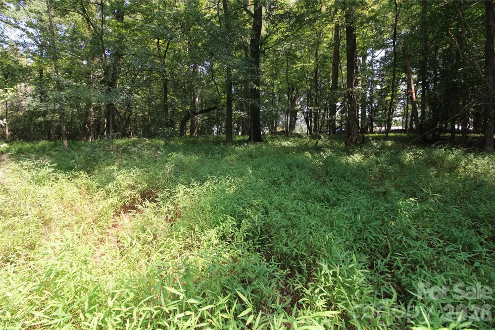 00 Webster Road Stoneville, NC 27047