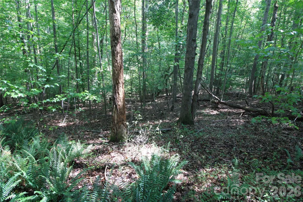 00 Webster Road Stoneville, NC 27047