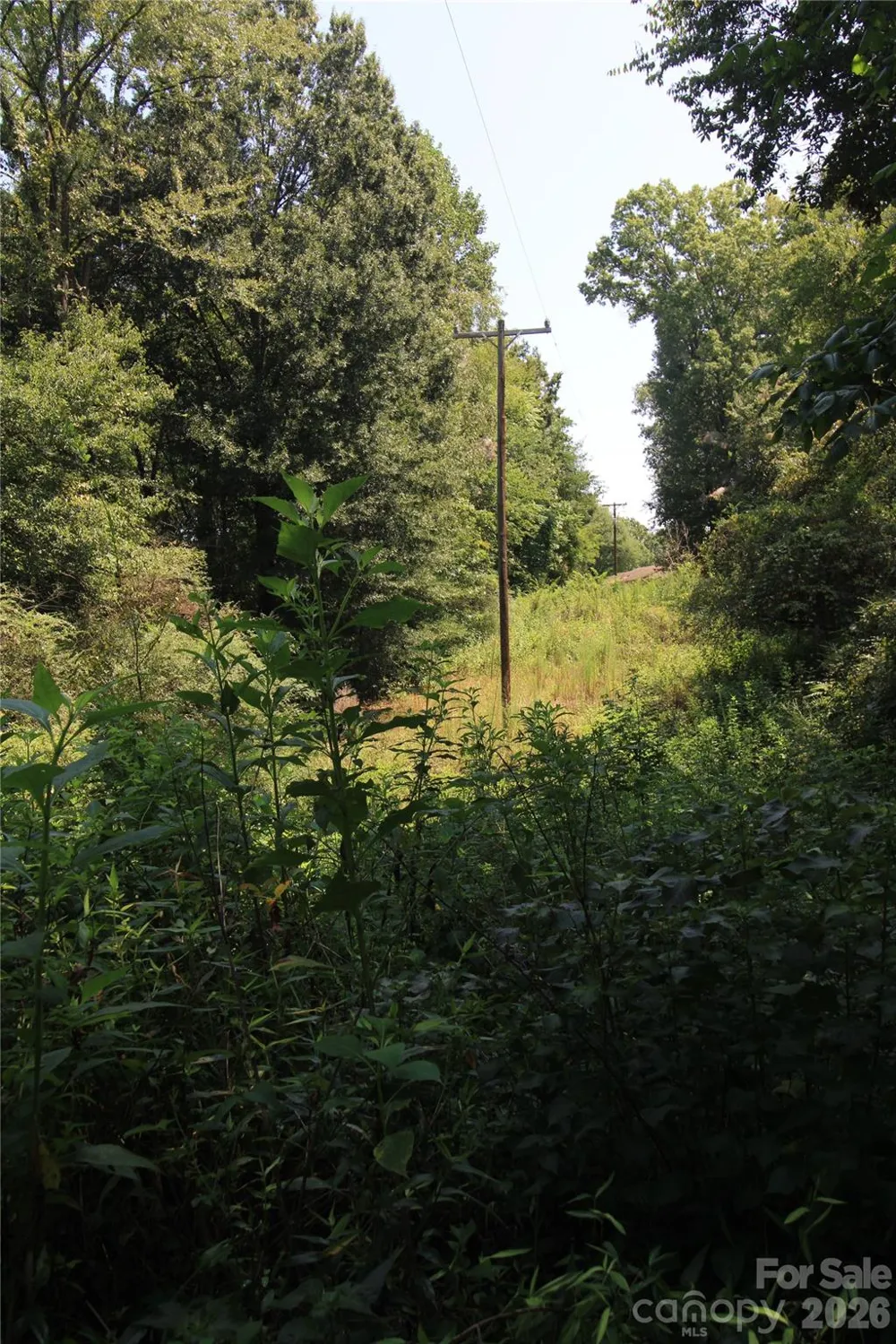 00 Webster Road Stoneville, NC 27047
